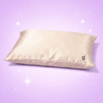 Silk Pillow Case